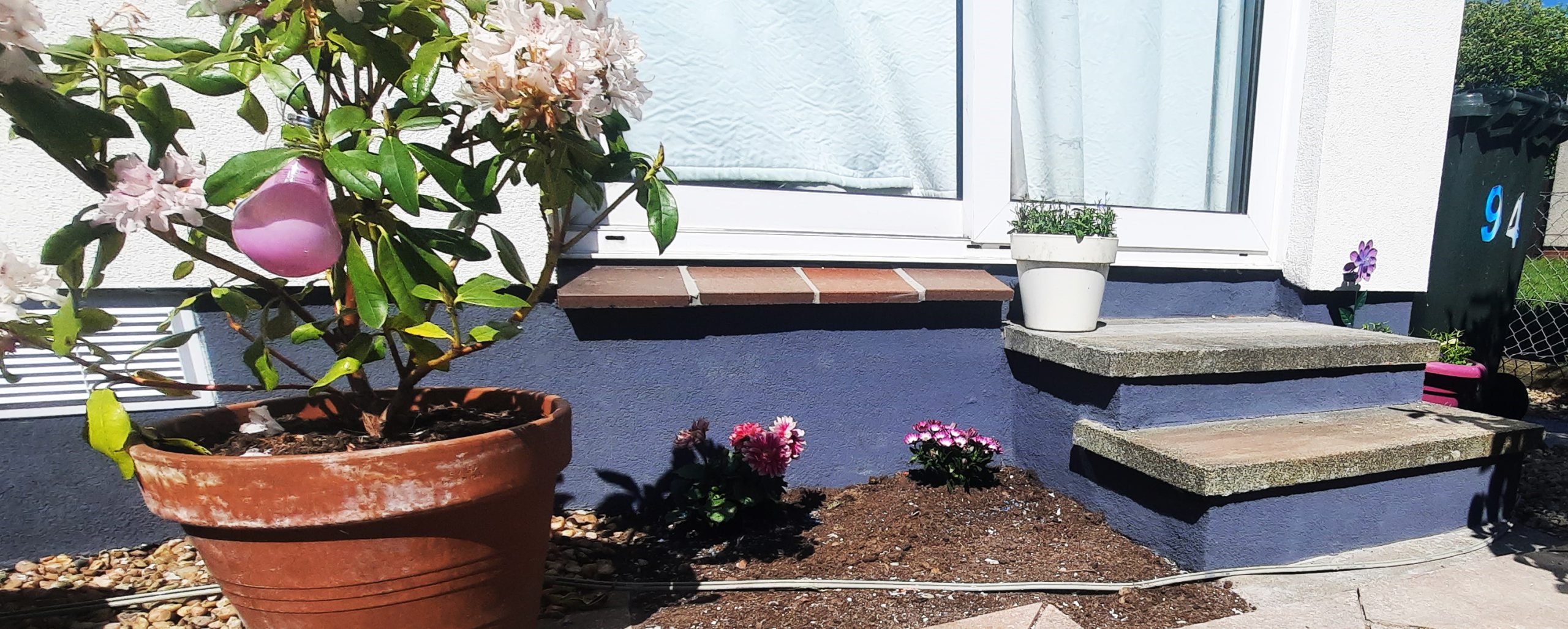 small garden bed with planted flowers and brick window sill roughcast repair