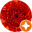 Sitara K profile picture